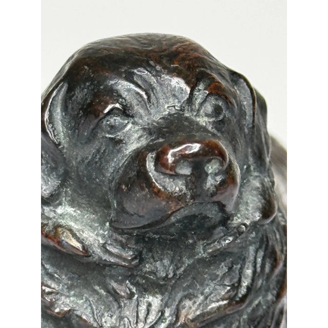 Metal Scottish Art Deco Bronze Newfoundland Dog With Historic Inscription For Sale - Image 7 of 12