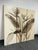 Illustration Vision Studio Bird of Paradise Triptych Canvas Wall Art, Set of Three For Sale - Image 3 of 11