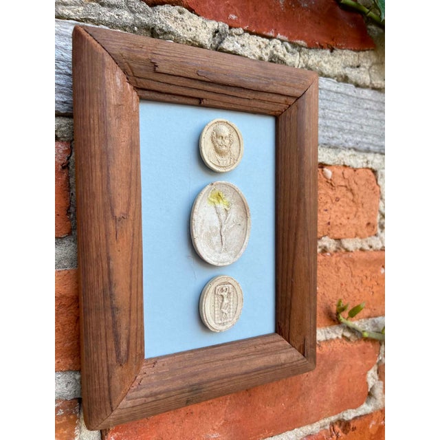 Italian Plaster Intaglios in 1880s Pine Frame For Sale - Image 4 of 7