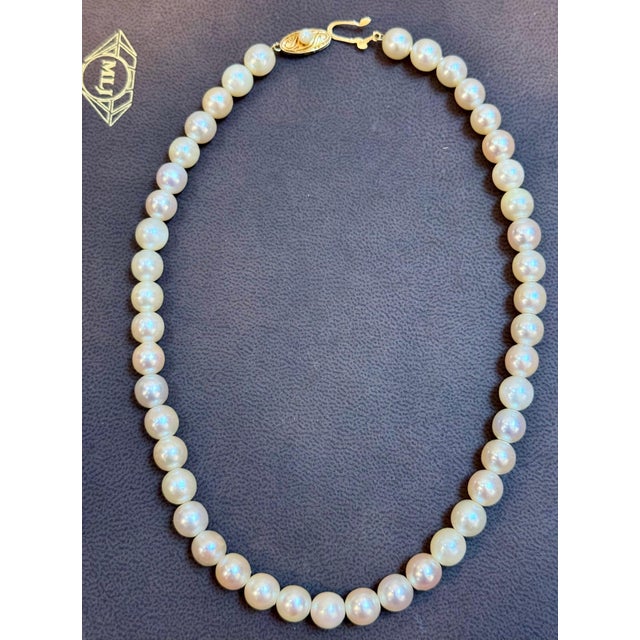 Vintage Cultured Akoya Pearl Necklace Length 14" , 18 Karat Yellow Gold Clasp For Sale - Image 14 of 18