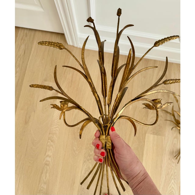 1950s Elegant Mid 20th Century Italian Gilt Wrought Iron Wheat Sheaf Candle Sconces - A Pair For Sale - Image 5 of 7