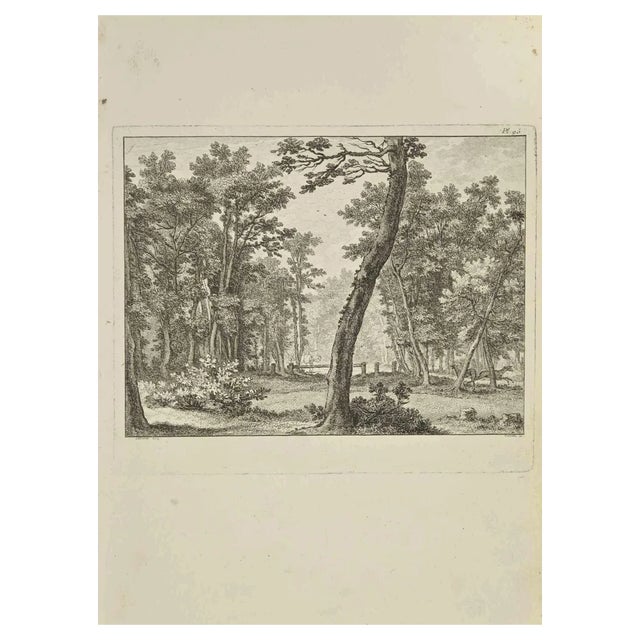 Nicholas Cochin, Landscape, Etching, 1755 For Sale