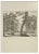 Nicholas Cochin, Landscape, Etching, 1755 For Sale