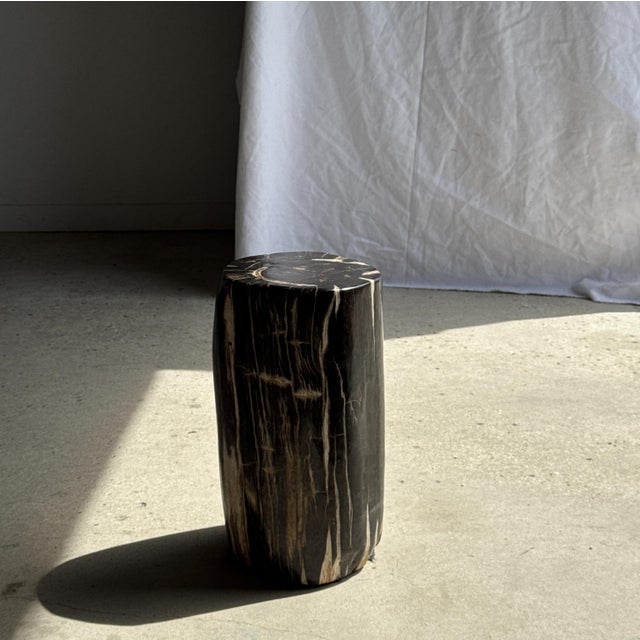 Side Table in Black Petrified Wood with White Sides and Beige Striations, 1980s For Sale - Image 6 of 18