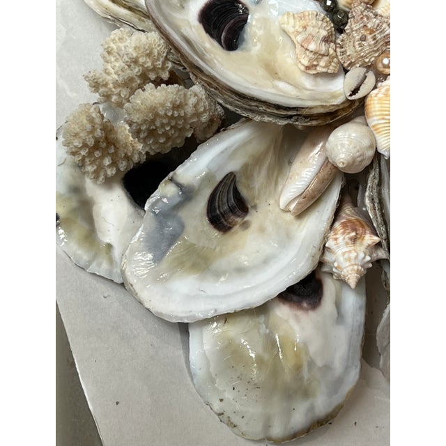 Glass Oyster Shell and Salt Water Shell Centerpiece Table Decor For Sale - Image 7 of 13