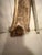 Late Gothic Carved Madonna and Child Figure For Sale - Image 6 of 13