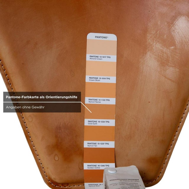 Animal Skin Interio Croma Steel Tube Chairs in Natural Leather, Set of 4 For Sale - Image 7 of 12