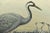Original Antique John Gould Grus Cinerea Color Bird Realism Lithograph Reproduction Print For Sale - Image 4 of 6