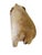 African Vintage Hand Carved Wood Elephant With Tusks For Sale - Image 3 of 5