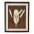 Natural Curiosities Sepia Botanical Study Print in Dark Wood Frame For Sale
