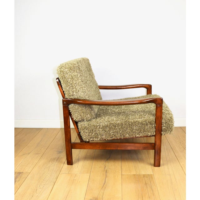 Wood Vintage Brown Lounge Chair by Z. Bączyk For Sale - Image 7 of 12
