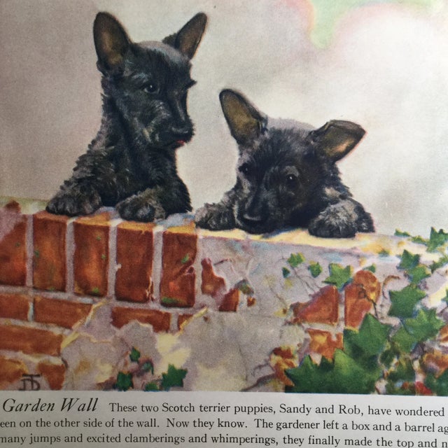 Mid-Century Modern Vintage Scotch Terrier Puppies Print For Sale - Image 3 of 6
