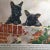 Mid-Century Modern Vintage Scotch Terrier Puppies Print For Sale - Image 3 of 6