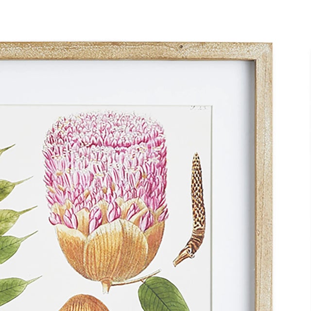 Illustrated in the style of a botanist's research, this leaf study set is proof of nature's beauty. Finished off with...