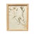 1893 Herbarium Botanical Specimens, Set of 12 For Sale - Image 17 of 18