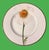 Rustic European 6 Flora by Villeroy & Boch Lunch Plates For Sale - Image 3 of 8