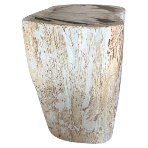 Andrianna Shamaris Modern Organic Minimalist Petrified Wood Side Table For Sale