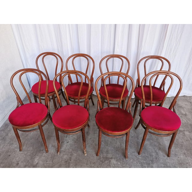 Brown Vintage Bentwood Bistro Chairs, 1970s, Set of 8 For Sale - Image 8 of 18