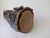 Contemporary Sculptural Ceramic Vase by Diane Grant For Sale - Image 4 of 4