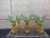 This is an awesomely unique set of six (6) goblets from Vetreria Save in Tuscany Italy. Each handblown by an artisan. The...