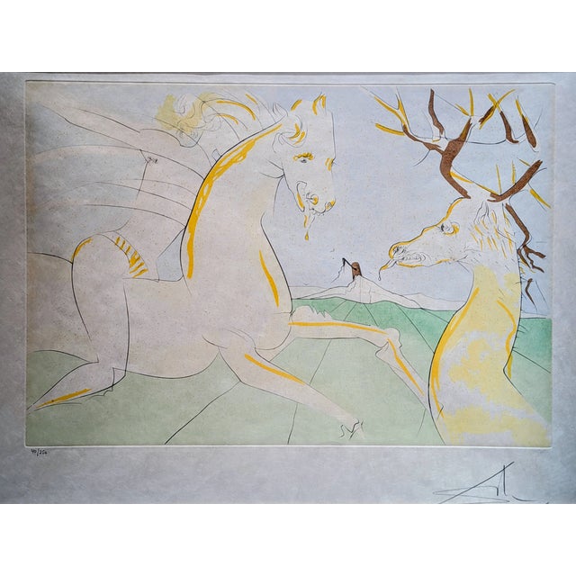 Salvador Dali, Horse Who Wanted to Take Revenge on the Deer, 1974, Drypoint Etching and Stencil, Framed For Sale - Image 3 of 14