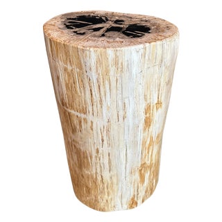 Andrianna Shamaris High Quality Petrified Wood Side Table For Sale