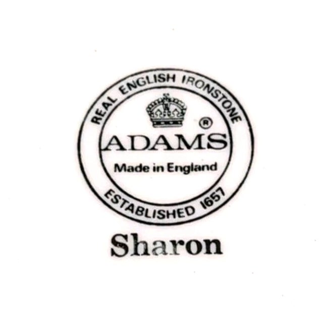 Vintage Adams Sharon Ironstone Replacement Dinner Plates Shamrocks 10 in 25.5 Cm Retired Pattern - Set of 4 For Sale In San Diego - Image 6 of 8