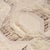 Schumacher Schumacher Samira Fabric In Birch For Sale - Image 4 of 5