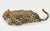 2000 - 2009 Paola Epifani, Soprav-vivere Sculpture Signed 2/8, 2006, Bronze For Sale - Image 5 of 12