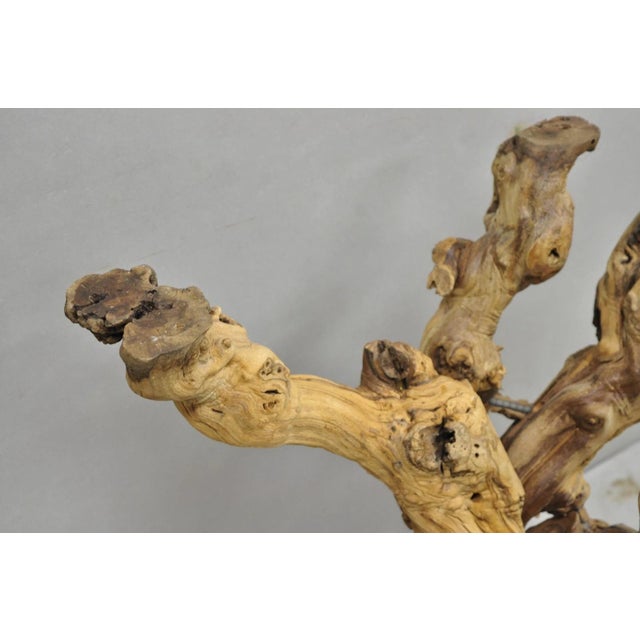 Vintage Mid Century Modern Natural Burl Driftwood Demilune Glass Console Table For Sale - Image 14 of 18