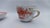 Ceramic Indian Painting Coral Red Demitasse Mokka Cup and Saucer Duo from Meissen Porcelain, 1950s For Sale - Image 7 of 11