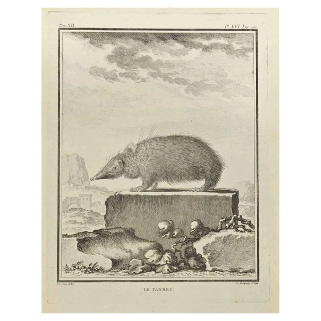 Jean Charles Baquoy, Le Tendrac, Etching, 1771 For Sale