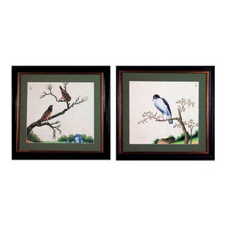 Pair of Chinese Export Bird Watercolors, Canton Natural History Paintings For Sale