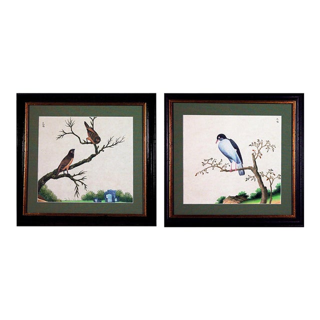 Pair of Chinese Export Bird Watercolors, Canton Natural History Paintings For Sale