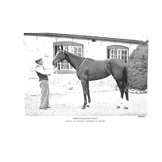 White "The Lonsdale Library: Flat Racing" 1948 the Rt. Hon. The Earl of Harewood, K. G. & Lt.-Col. P. E. Ricketts, d.s.o., m.v.o. For Sale - Image 8 of 10