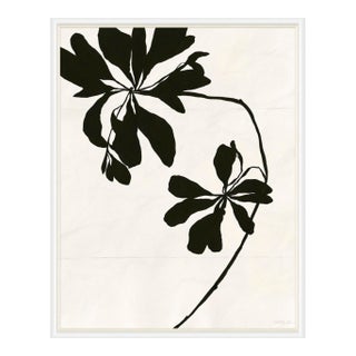 Mediterranean Leaf (var. 2) by Susan Hable, White Frame For Sale