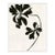 Mediterranean Leaf (var. 2) by Susan Hable, White Frame For Sale