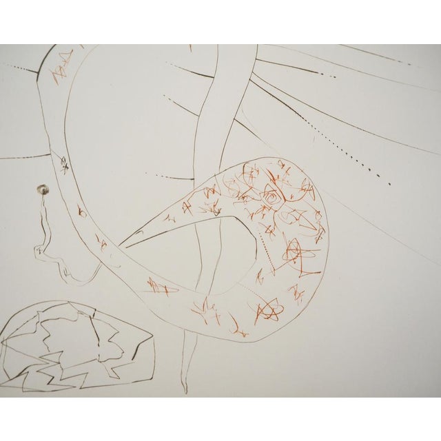 Salvador Dali, Tristan Le Fou, 1970, Original Etching For Sale - Image 6 of 8