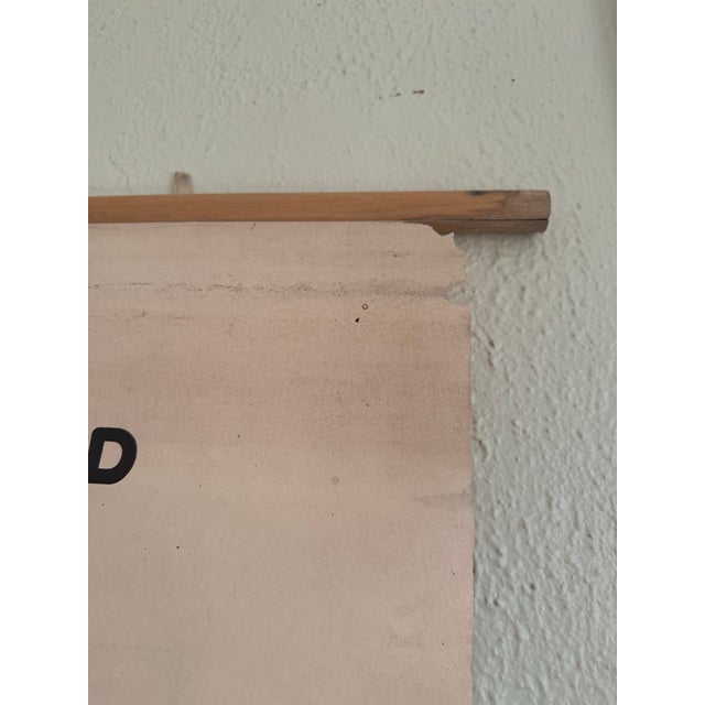 1960s Vintage 1969 Typing Instruction Pull-Down Chart – Secretary School Poster --Poster E For Sale - Image 5 of 7