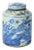 Large Chinoiserie Porcelain Blue White Pheasant Tea Jar For Sale