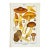 Original Antique 19th C Colored Lithograph Myxacium Mushrooms Fungi by Carl Gustav Jablonsky For Sale