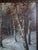 20th Century Winter River Sunset Landscape Oil Painting With Birches, Signed Cardi For Sale - Image 4 of 11