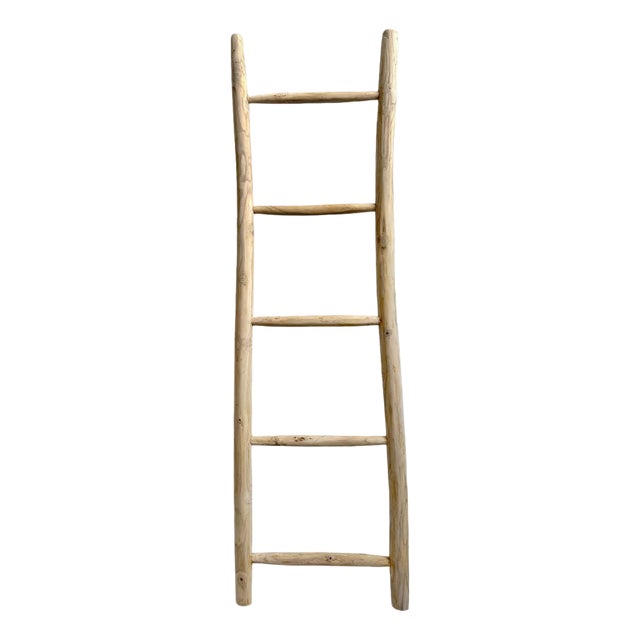 Organic Modern Teak Raw Wood Display Ladder For Sale