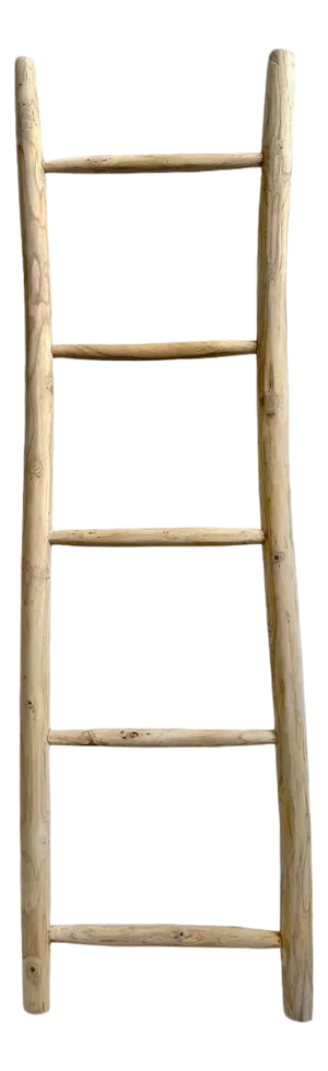 Organic Modern Teak Raw Wood Display Ladder