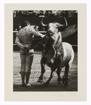 "Une Manoletine De Pedrès à Mont De Marsan" Silver Gelatin Print by Lucien Clergue , Matador and Bull 1963