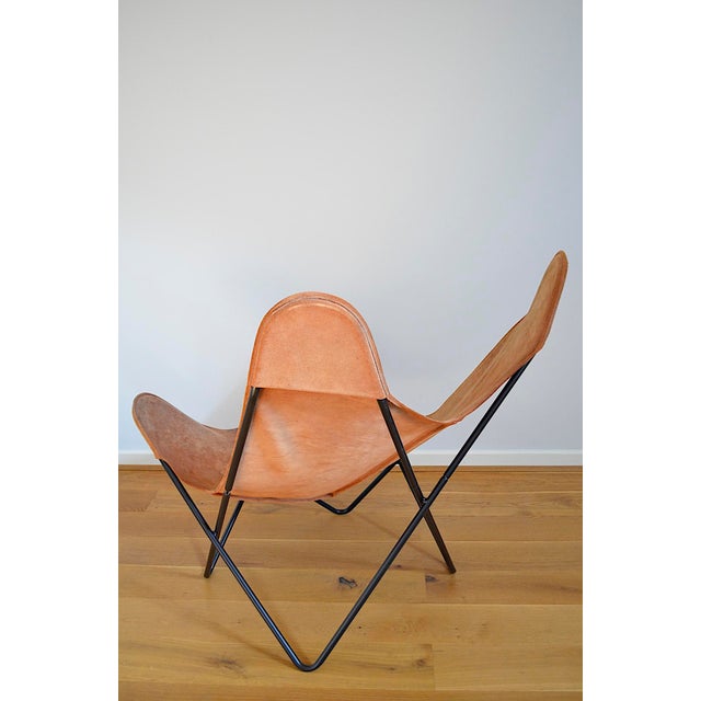 Butterfly Chair attributed to Jorge Hardoy-Ferrari for Knoll, 1960s For Sale - Image 14 of 18