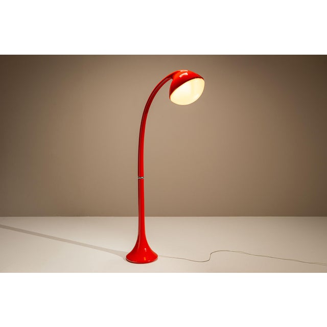 DL5 Lampione Floor Lamp in Red by Fabio Lenci for Guzzini, Italy, 1971 For Sale - Image 11 of 11