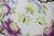 Ceramic Maling Ware Majolica Peony Rose Butterfly Charger Plate 11". 6507 For Sale - Image 7 of 9