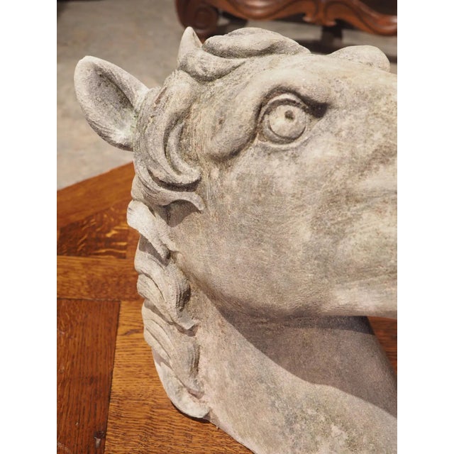 Italian Carved Limestone Horsehead From Italy For Sale - Image 3 of 13