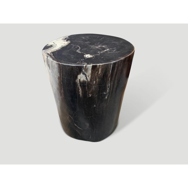 2020s Andrianna Shamaris Impressive Ancient Petrified Wood Side Table For Sale - Image 5 of 6